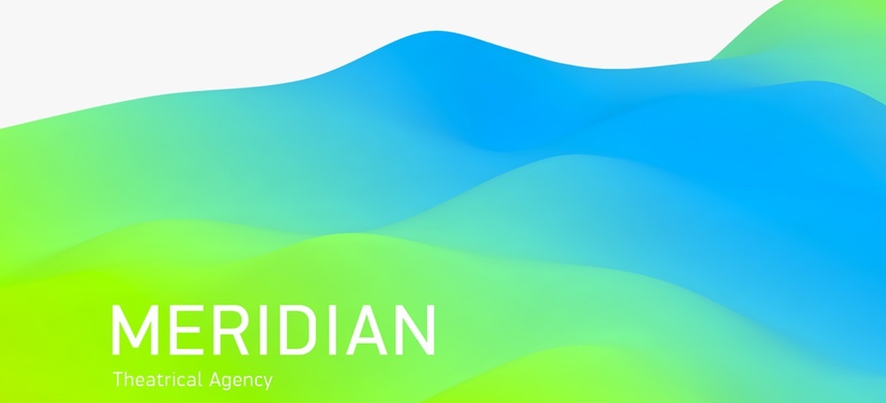数字分型，Meridian 品牌形象设计